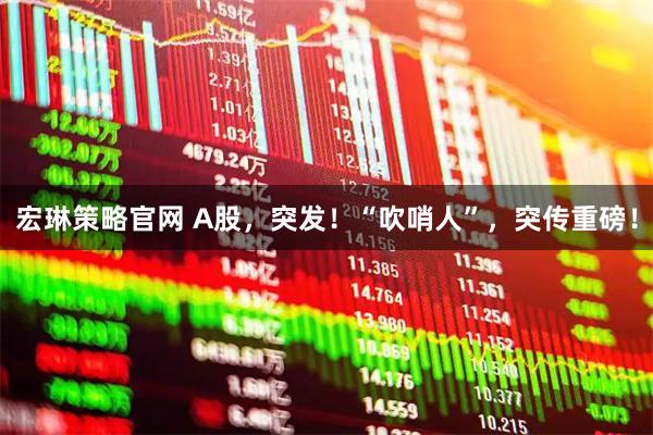 宏琳策略官网 A股，突发！“吹哨人”，突传重磅！