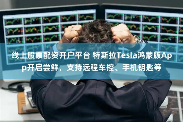 线上股票配资开户平台 特斯拉Tesla鸿蒙版App开启尝鲜，支持远程车控、手机钥匙等