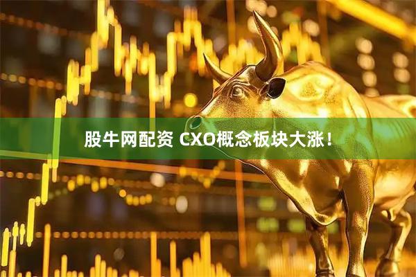 股牛网配资 CXO概念板块大涨！